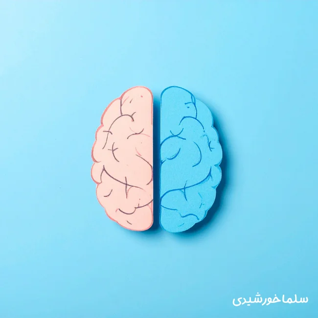 پروژه‌ها و همکاری‌ها سلما خورشیدی
